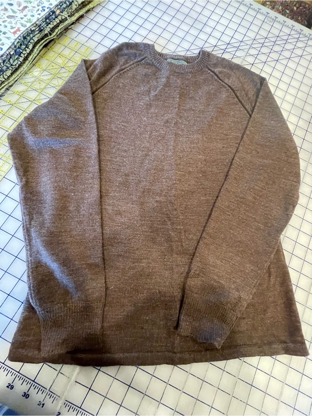 Women’s Brown Crewneck Sweater